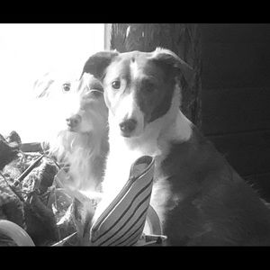 Meet your Posher, Carol